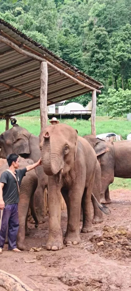 ความประทับใจจากทริป 11