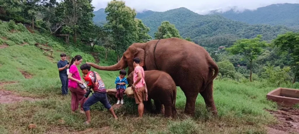 ความประทับใจจากทริป 12